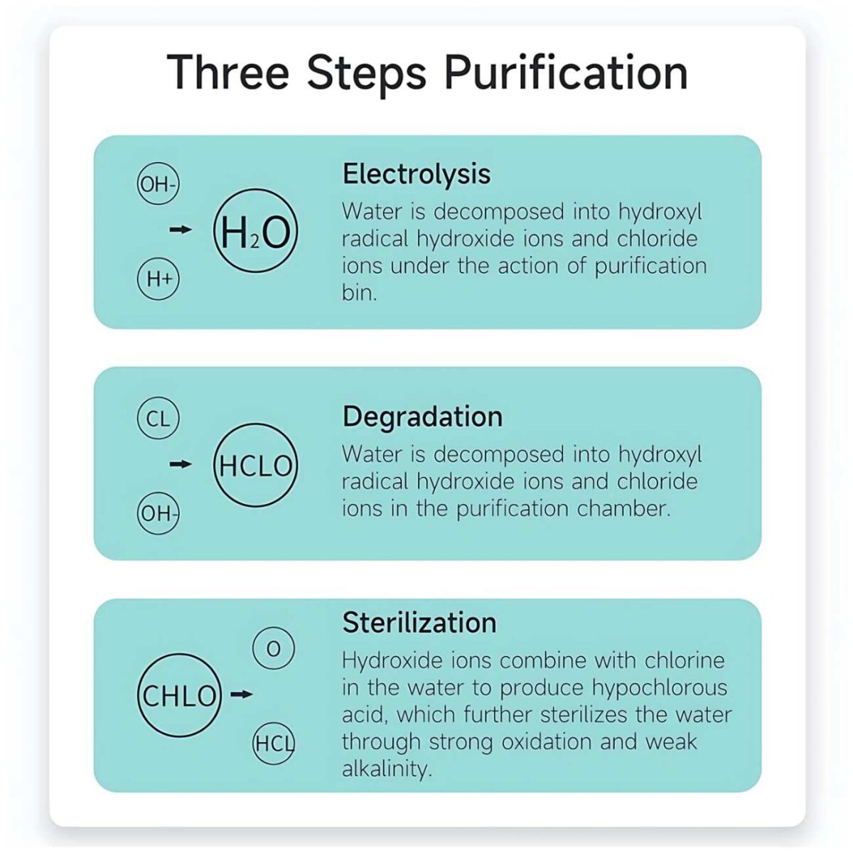Fruit and Vegetable Purifier